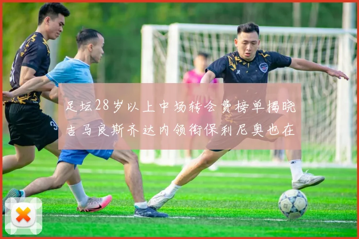 足坛28岁以上中场转会费榜单揭晓吉马良斯齐达内领衔保利尼奥也在列
